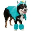 Frisco Faux Fur Monster Clash Dog & Cat Costume 1 Frisco Faux Fur Monster Clash Dog & Cat Costume -Chewy 708022 MAIN. AC SS1800 V1692300753