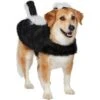 Frisco Faux Fur Skunk Dog & Cat Costume 2 Frisco Faux Fur Skunk Dog & Cat Costume -Chewy 708078 MAIN. AC SS1800 V1689350100