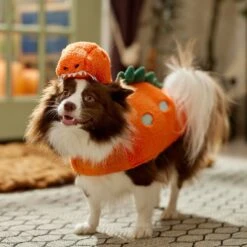 Frisco Furry Dinosaur Dog & Cat Costume 16 Frisco Furry Dinosaur Dog & Cat Costume -Chewy 708190 PT7. AC SS1800 V1689278373