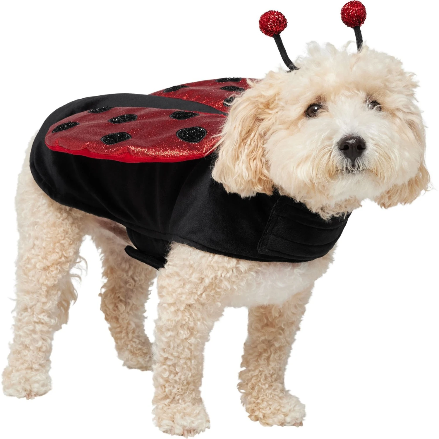 Frisco Glittered Ladybug Dog & Cat Costume 3 Frisco Glittered Ladybug Dog & Cat Costume