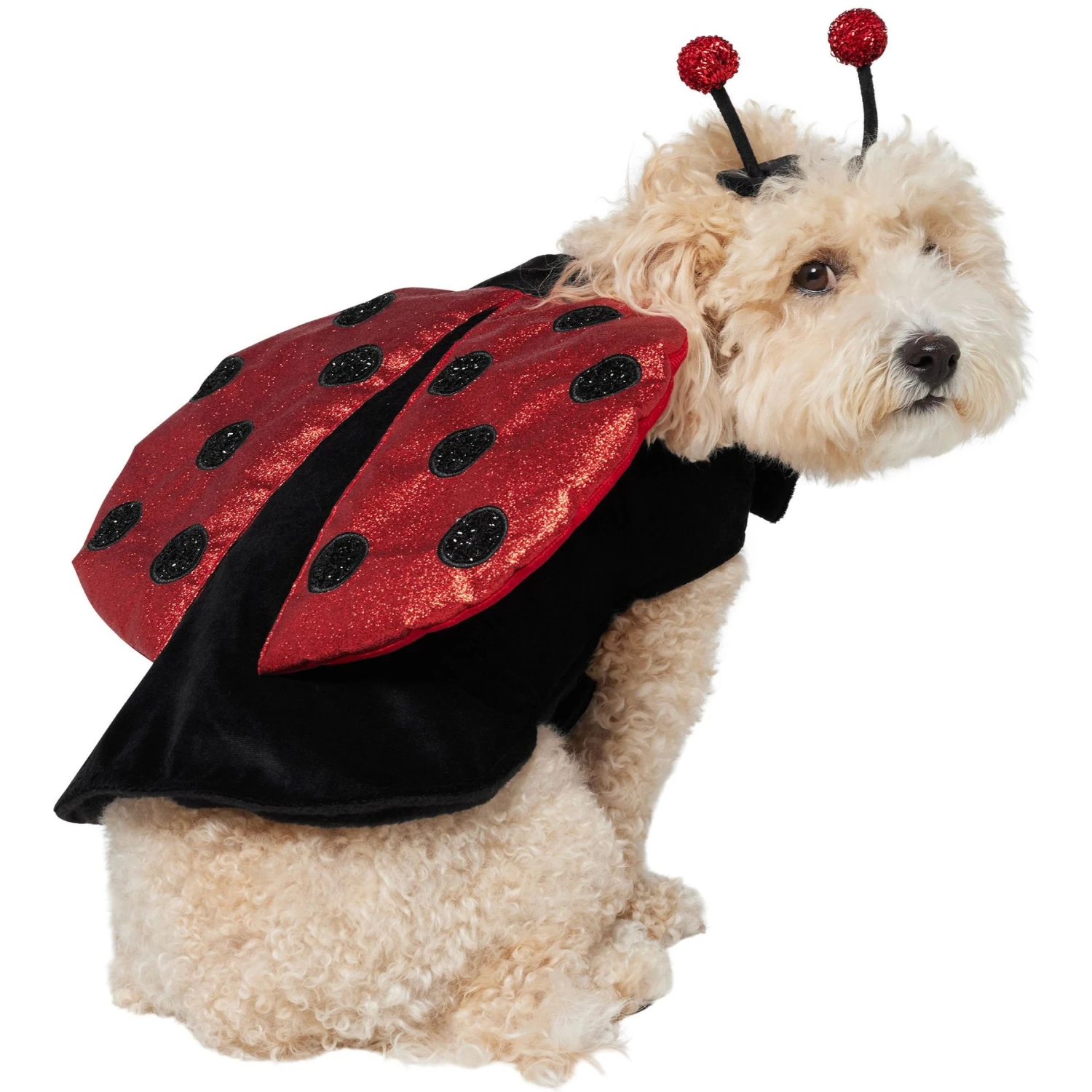 Frisco Glittered Ladybug Dog & Cat Costume 6 Frisco Glittered Ladybug Dog & Cat Costume - Image 4