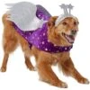 Frisco Shooting Stars Dog & Cat Costume 1 Frisco Shooting Stars Dog & Cat Costume -Chewy 708614 MAIN. AC SS1800 V1689340940