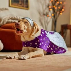 Frisco Shooting Stars Dog & Cat Costume 16 Frisco Shooting Stars Dog & Cat Costume -Chewy 708614 PT7. AC SS1800 V1689278699