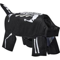 Frisco Glow In The Dark Skeleton Dog & Cat Costume 13 Frisco Glow In The Dark Skeleton Dog & Cat Costume -Chewy 709038 PT3. AC SS1800 V1689351051
