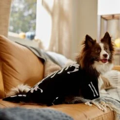 Frisco Glow In The Dark Skeleton Dog & Cat Costume 16 Frisco Glow In The Dark Skeleton Dog & Cat Costume -Chewy 709038 PT7. AC SS1800 V1689350988