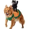 Frisco Pumpkin Cat Ride-On Dog & Cat Costume 1 Frisco Pumpkin Cat Ride-On Dog & Cat Costume -Chewy 709294 MAIN. AC SS1800 V1689270833
