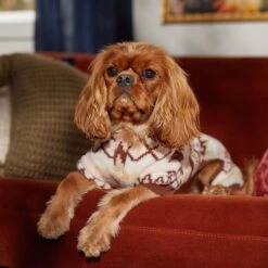 Frisco Fairisle Cozy Plush Fleece Dog & Cat PJs, Cream 16 Frisco Fairisle Cozy Plush Fleece Dog & Cat PJs, Cream -Chewy 719006 PT7. AC SS1800 V1692376367