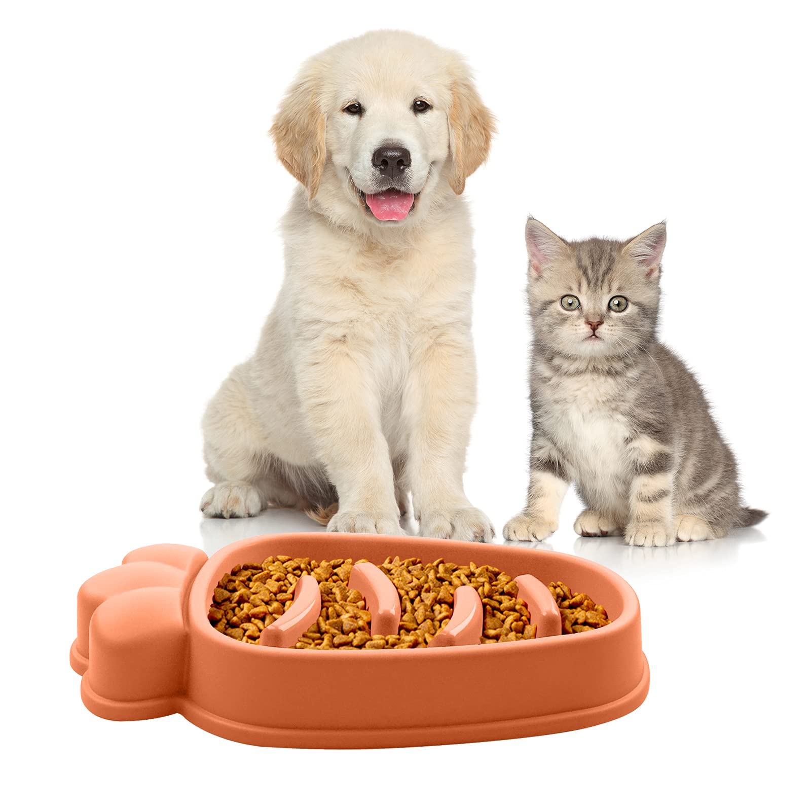 Chewy 23 Chewy -Chewy 71oCYsoJ0gL