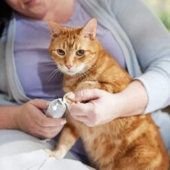 Rechargeable Cordless Cat & Dog 3-Speed Nail Grinder, White 14 Rechargeable Cordless Cat & Dog 3-Speed Nail Grinder, White -Chewy 729774 PT5. AC SS1800 V1683147135