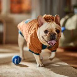 Frisco Wubby Textured Fleece Dog & Cat Hoodie W/ Pocket 18 Frisco Wubby Textured Fleece Dog & Cat Hoodie W/ Pocket -Chewy 742510 PT7. AC SS1800 V1692377765