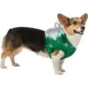 Frisco Ornament Dog & Cat Costume 2 Frisco Ornament Dog & Cat Costume -Chewy 745510 MAIN. AC SS1800 V1694800749