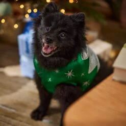 Frisco Ornament Dog & Cat Costume 16 Frisco Ornament Dog & Cat Costume -Chewy 745510 PT7. AC SS1800 V1694795535