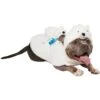 Frisco Polar Bear Ride-On Dog Costume 2 Frisco Polar Bear Ride-On Dog Costume -Chewy 747046 MAIN. AC SS1800 V1694813783
