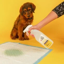 Skout's Honor Dog Pee Pad Refresher Spray, 28-oz Bottle & Frisco Washable Dog Potty Pads 15 Skout's Honor Dog Pee Pad Refresher Spray, 28-oz Bottle & Frisco Washable Dog Potty Pads -Chewy 772958 PT4. AC SS1800 V1676749044