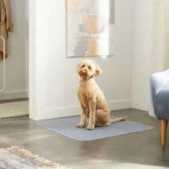 Skout's Honor Dog Pee Pad Refresher Spray, 28-oz Bottle & Frisco Washable Dog Potty Pads 19 Skout's Honor Dog Pee Pad Refresher Spray, 28-oz Bottle & Frisco Washable Dog Potty Pads -Chewy 772958 PT8. AC SS1800 V1676752183