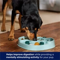 Frisco Interactive Dog & Cat Slow Feeder Bowl -Chewy 807414 PT2. AC SS1800 V1696254614