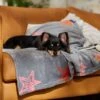 Frisco Plush Cat & Dog Throw Blanket 1 Frisco Plush Cat & Dog Throw Blanket -Chewy 816702 MAIN. AC SS1800 V1701117014