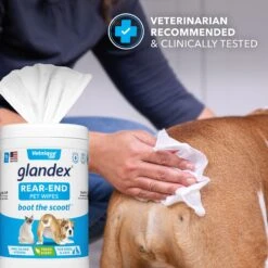 Vetnique Labs Glandex Wipes Rear End Anal Gland Cleansing & Deodorizing Hygienic Rear End Boot The Scoot Dog & Cat Wipes & Frisco Disposable Male Dog Wraps 15 Vetnique Labs Glandex Wipes Rear End Anal Gland Cleansing & Deodorizing Hygienic Rear End Boot The Scoot Dog & Cat Wipes & Frisco Disposable Male Dog Wraps -Chewy 826454 PT4. AC SS1800 V1682018155