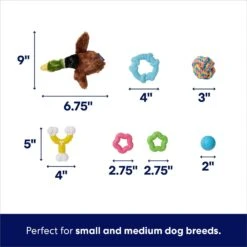 Frisco Forest Friends Plush, Rope & TPR Variety Pack Dog Toy 9 Frisco Forest Friends Plush, Rope & TPR Variety Pack Dog Toy -Chewy 843534 PT2. AC SS1800 V1693411070