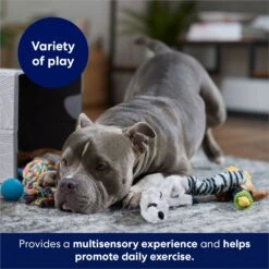 Frisco Forest Friends Plush, Rope & TPR Variety Pack Dog Toy 10 Frisco Forest Friends Plush, Rope & TPR Variety Pack Dog Toy -Chewy 843534 PT3. AC SS1800 V1693411070