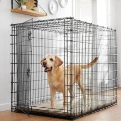 Frisco Heavy Duty Single Door Wire Dog Crate & MidWest Quiet Time Fleece Dog Crate Mat 12 Frisco Heavy Duty Single Door Wire Dog Crate & MidWest Quiet Time Fleece Dog Crate Mat -Chewy 933510 PT1. AC SS1800 V1692305508