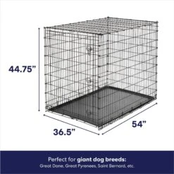Frisco Heavy Duty Single Door Wire Dog Crate & MidWest Quiet Time Fleece Dog Crate Mat 13 Frisco Heavy Duty Single Door Wire Dog Crate & MidWest Quiet Time Fleece Dog Crate Mat -Chewy 933510 PT2. AC SS1800 V1692304490