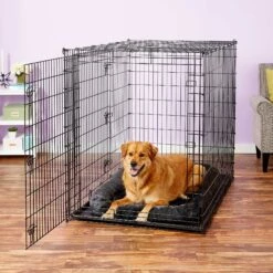 Frisco Heavy Duty Enhanced Lock Double Door Fold & Carry Wire Dog Crate & Mat Kit & MidWest Quiet Time Fleece Dog Crate Mat 19 Frisco Heavy Duty Enhanced Lock Double Door Fold & Carry Wire Dog Crate & Mat Kit & MidWest Quiet Time Fleece Dog Crate Mat -Chewy 947398 PT8. AC SS1800 V1693920163