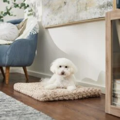 Frisco Double Door Furniture Style Dog Crate, Black & Frisco Swirl Dog Crate Mat -Chewy 947710 PT5. AC SS1800 V1693921603