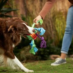 Frisco Fetch Colorful Ball Knot Rope Dog Toy & Frisco Monkey Plush With Rope Squeaky Dog Toy 13 Frisco Fetch Colorful Ball Knot Rope Dog Toy & Frisco Monkey Plush With Rope Squeaky Dog Toy -Chewy 962014 PT2. AC SS1800 V1694784008