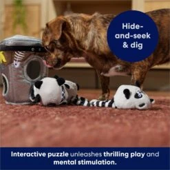 Frisco Volcano Hide & Seek Puzzle Plush Squeaky Dog Toy & Frisco Trash Can & Raccoons Hide & Seek Puzzle Plush Squeaky Dog Toy 19 Frisco Volcano Hide & Seek Puzzle Plush Squeaky Dog Toy & Frisco Trash Can & Raccoons Hide & Seek Puzzle Plush Squeaky Dog Toy -Chewy 962054 PT8. AC SS1800 V1694783037