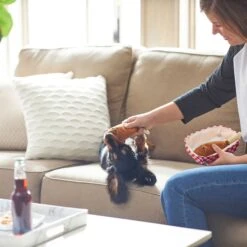 Frisco Corndog Interactive Plush Squeaky Dog Toy & Frisco Guacamole Hide & Seek Puzzle Plush Squeaky Dog Toy 14 Frisco Corndog Interactive Plush Squeaky Dog Toy & Frisco Guacamole Hide & Seek Puzzle Plush Squeaky Dog Toy -Chewy 962086 PT3. AC SS1800 V1694782979