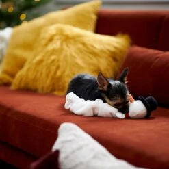 Frisco Holiday Reindeer Bungee Plush Squeaky Dog Toy & Frisco Holiday Snowman Bungee Plush Squeaky Dog Toy 19 Frisco Holiday Reindeer Bungee Plush Squeaky Dog Toy & Frisco Holiday Snowman Bungee Plush Squeaky Dog Toy -Chewy 986126 PT8. AC SS1800 V1698346274