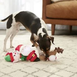 Frisco Holiday Santa's Helpers Plush Squeaky Dog Toy, 3 Count & Frisco Holiday Lights Plush With Rope Squeaky Dog Toy 13 Frisco Holiday Santa's Helpers Plush Squeaky Dog Toy, 3 Count & Frisco Holiday Lights Plush With Rope Squeaky Dog Toy -Chewy 986206 PT4. AC SS1800 V1698257788