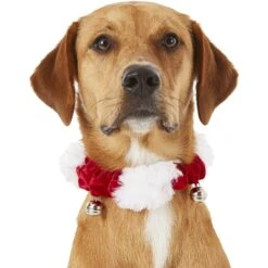 Frisco Holiday Dog & Cat Santa Hat, 1 Count & Frisco Jingle Bells Dog & Cat Holiday Collar With Bells, 1 Count 18 Frisco Holiday Dog & Cat Santa Hat, 1 Count & Frisco Jingle Bells Dog & Cat Holiday Collar With Bells, 1 Count -Chewy 986254 PT7. AC SS1800 V1698258115