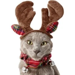 Frisco Jingle Bells Dog & Cat Holiday Collar With Bells, 1 Count & Frisco Holiday Antler Headband & Bell Collar Dog & Cat Costume 17 Frisco Jingle Bells Dog & Cat Holiday Collar With Bells, 1 Count & Frisco Holiday Antler Headband & Bell Collar Dog & Cat Costume -Chewy 986294 PT6. AC SS1800 V1698257736