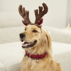 Frisco Jingle Bells Dog & Cat Holiday Collar With Bells, 1 Count & Frisco Holiday Antler Headband & Bell Collar Dog & Cat Costume 18 Frisco Jingle Bells Dog & Cat Holiday Collar With Bells, 1 Count & Frisco Holiday Antler Headband & Bell Collar Dog & Cat Costume -Chewy 986294 PT7. AC SS1800 V1698258404