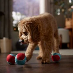 Frisco Holiday Ho Ho Ho Fetch Squeaky Tennis Ball Dog Toy & Frisco Holiday Arctic Friends Stuffing-Free Skinny Plush Squeaky Dog Toy 15 Frisco Holiday Ho Ho Ho Fetch Squeaky Tennis Ball Dog Toy & Frisco Holiday Arctic Friends Stuffing-Free Skinny Plush Squeaky Dog Toy -Chewy 986310 PT4. AC SS1800 V1698257790